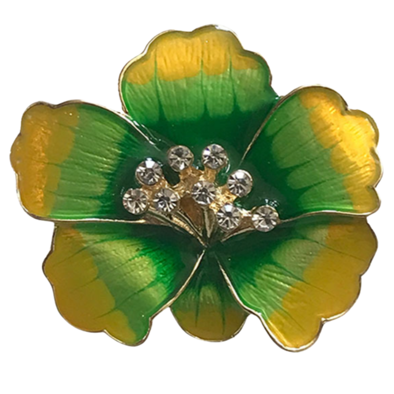 Magnetic Brooches