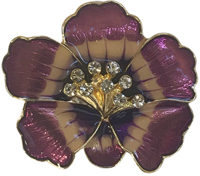 Magnetic Brooches